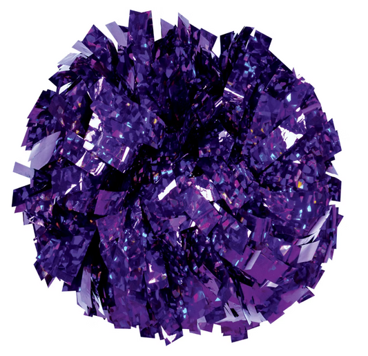 Cheer with Zee - Deluxe Cheer Add-On