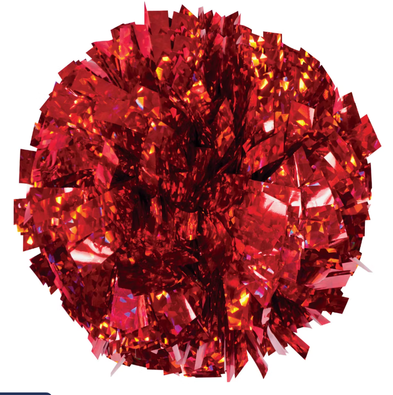 Cheer with Zee - Deluxe Cheer Add-On